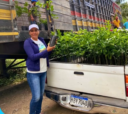 Productores de Colón reciben más de 13 mil plantas sanas de cítricos