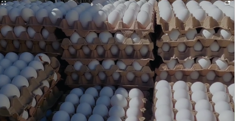 Precio del cartón de huevos registra un aumento de 5 y 10 Lempiras en mercados de Comayagua