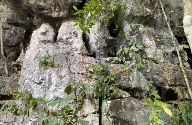 Las Cuevas de Talgua en Catacamas Olancho