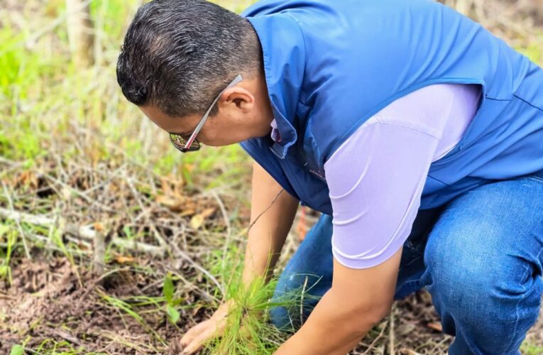 Por un Entorno Más Verde: 5 Mil Árboles Plantados en Siguatepeque