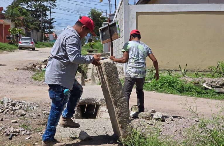 Reparación de la caja puente en colonia El Higo: Mejorando la infraestructura local