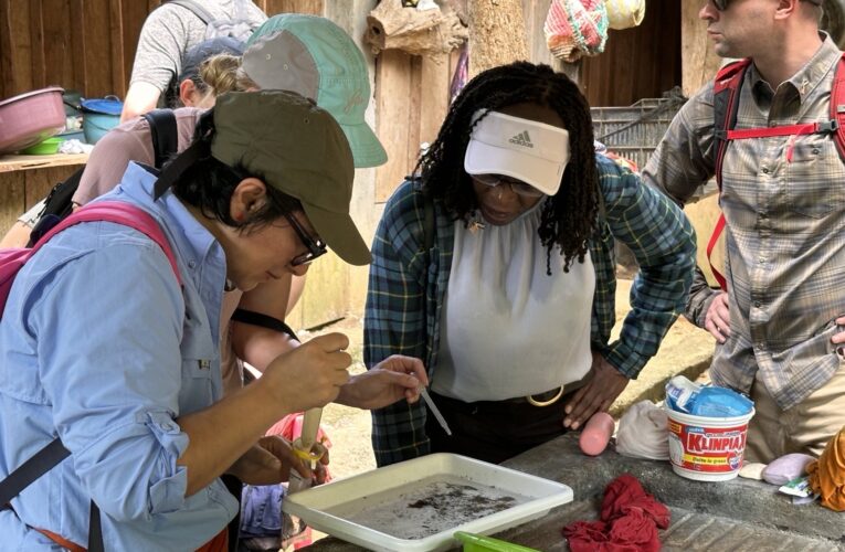 Fuerza de Tarea Conjunta – Bravo realiza actividades de apoyo para la prevención del dengue en Honduras