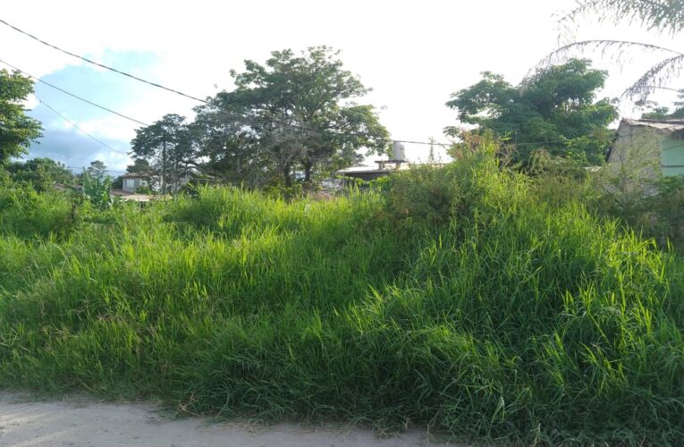 Alcaldía de Siguatepeque Interviene Solares Abandonados en la Zona