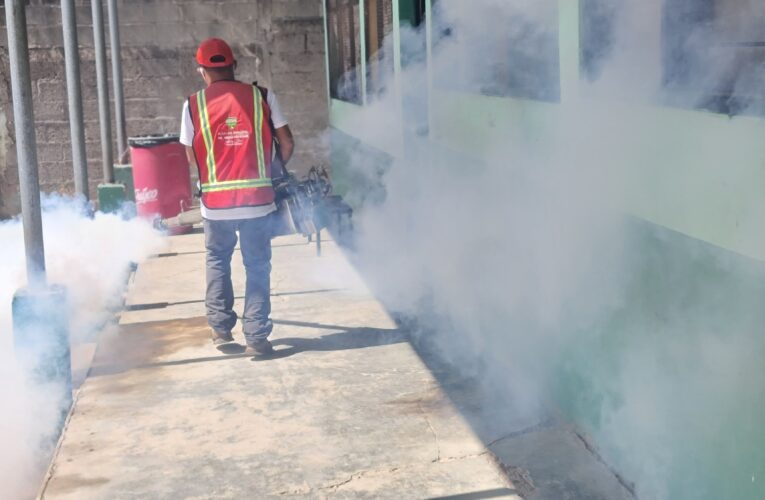 Día «D», mega fumigación contra el zancudo transmisor del dengue