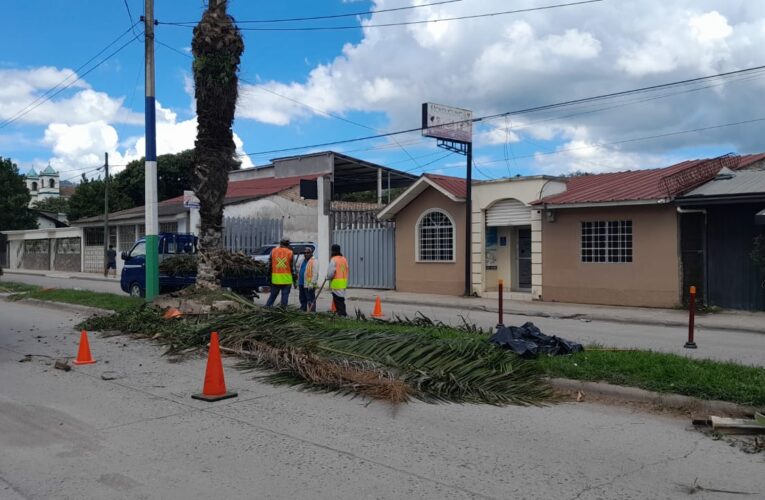 Renovación del Bulevar Morazán: Limpieza y Mejora del Ornato