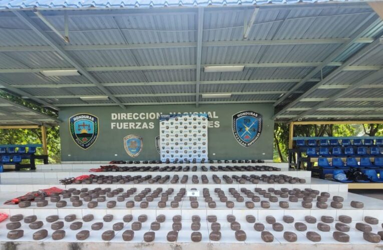 Efectivos antidrogas decomisan 800 libras de marihuana y detienen un sujeto en Olancho