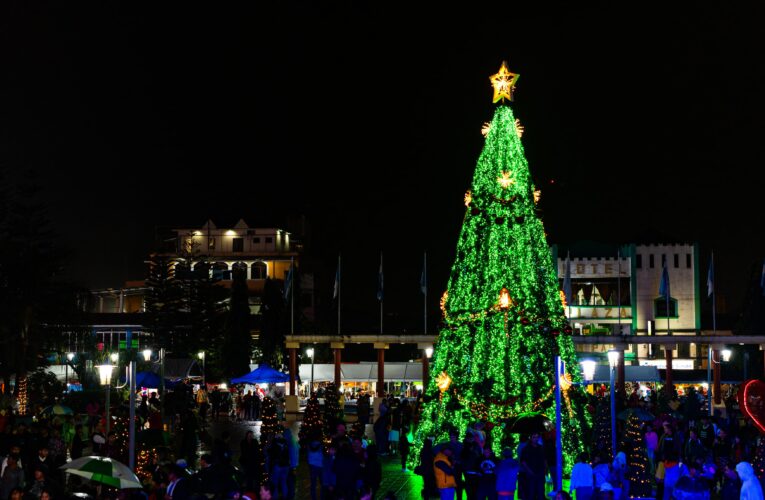 La Magia Renació en Sigua con el Espectacular Encendido del Árbol Navideño